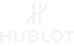 Logo 13