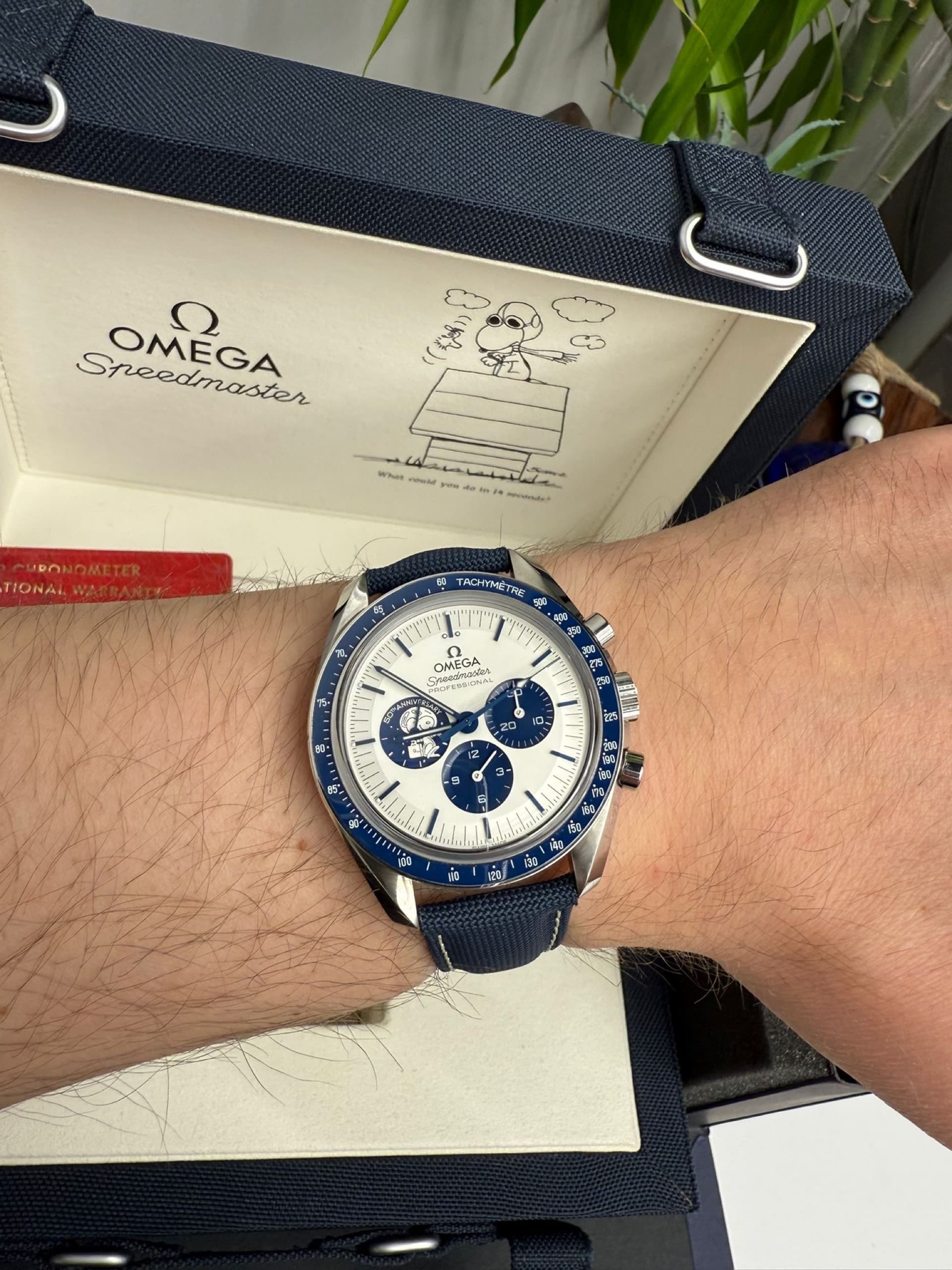 Speedmaster Professional Moonwatch