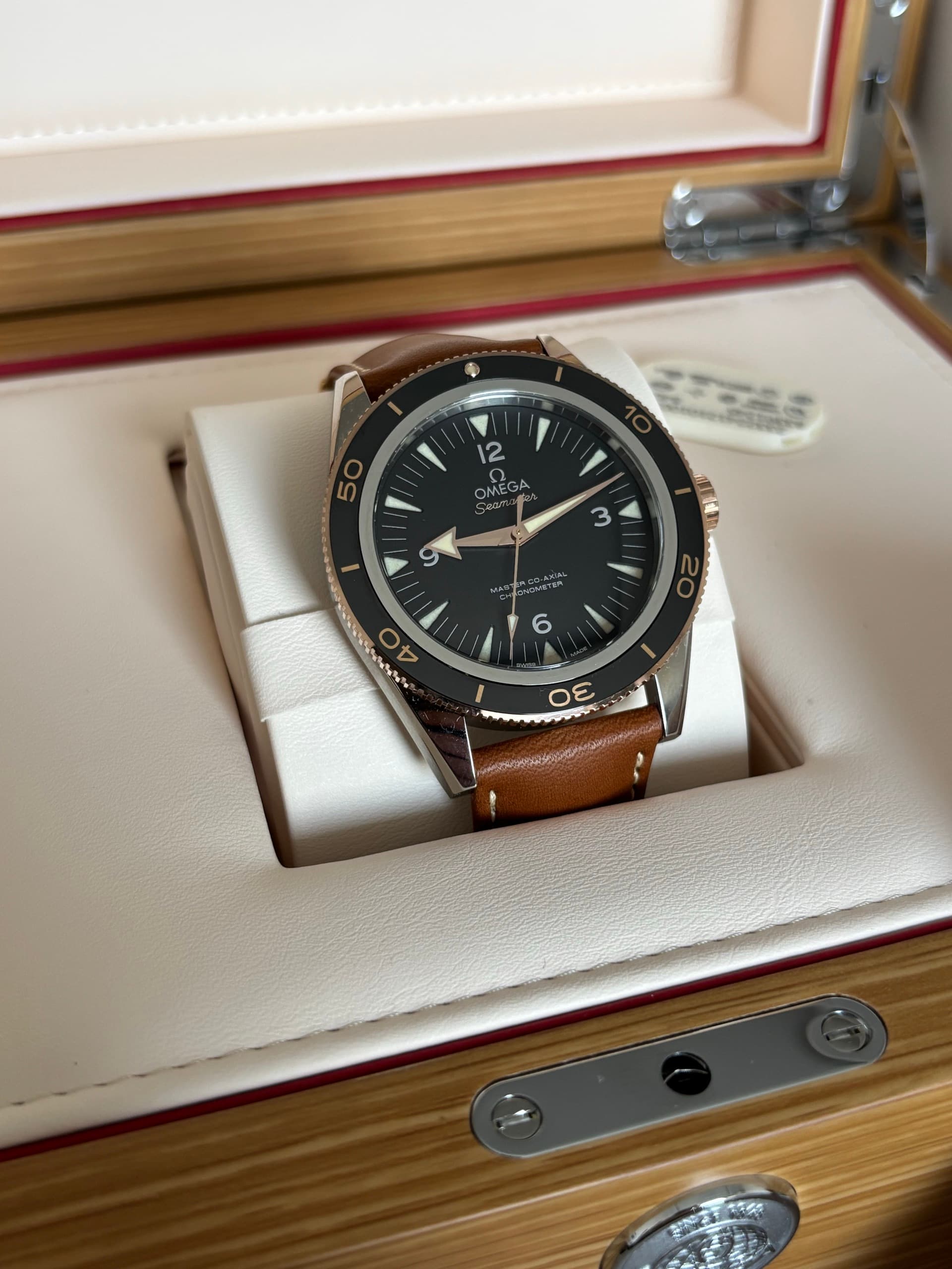 Seamaster 300