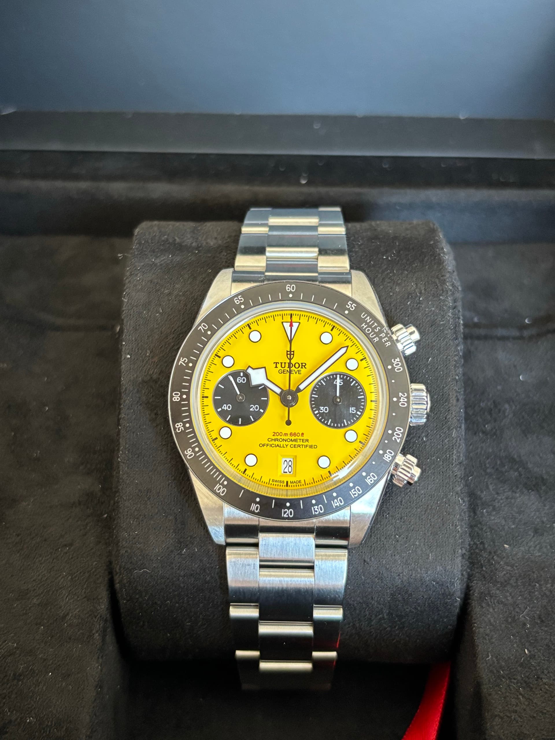 Blackbay Chrono 39 “bumblebee”