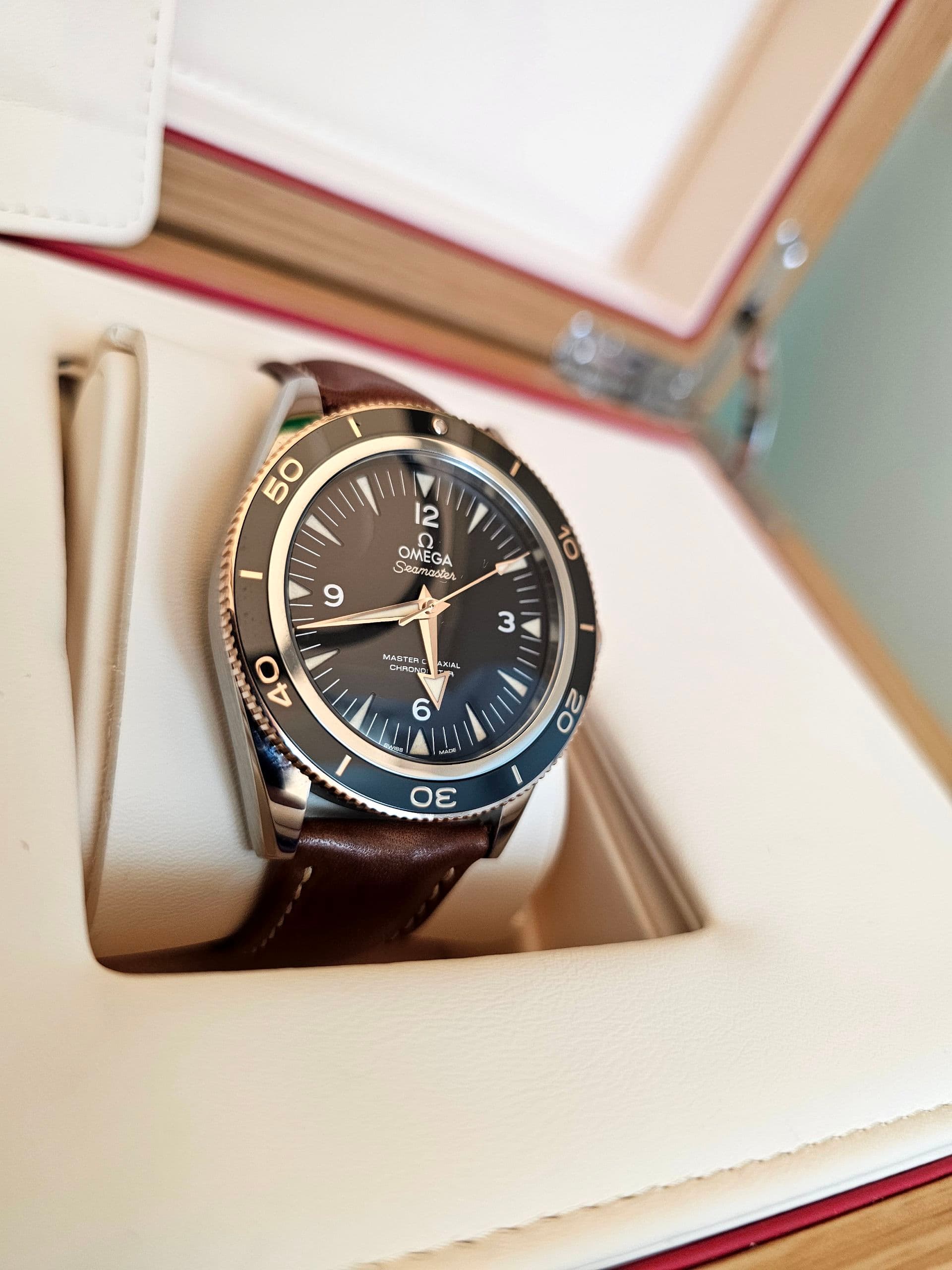 Seamaster 300