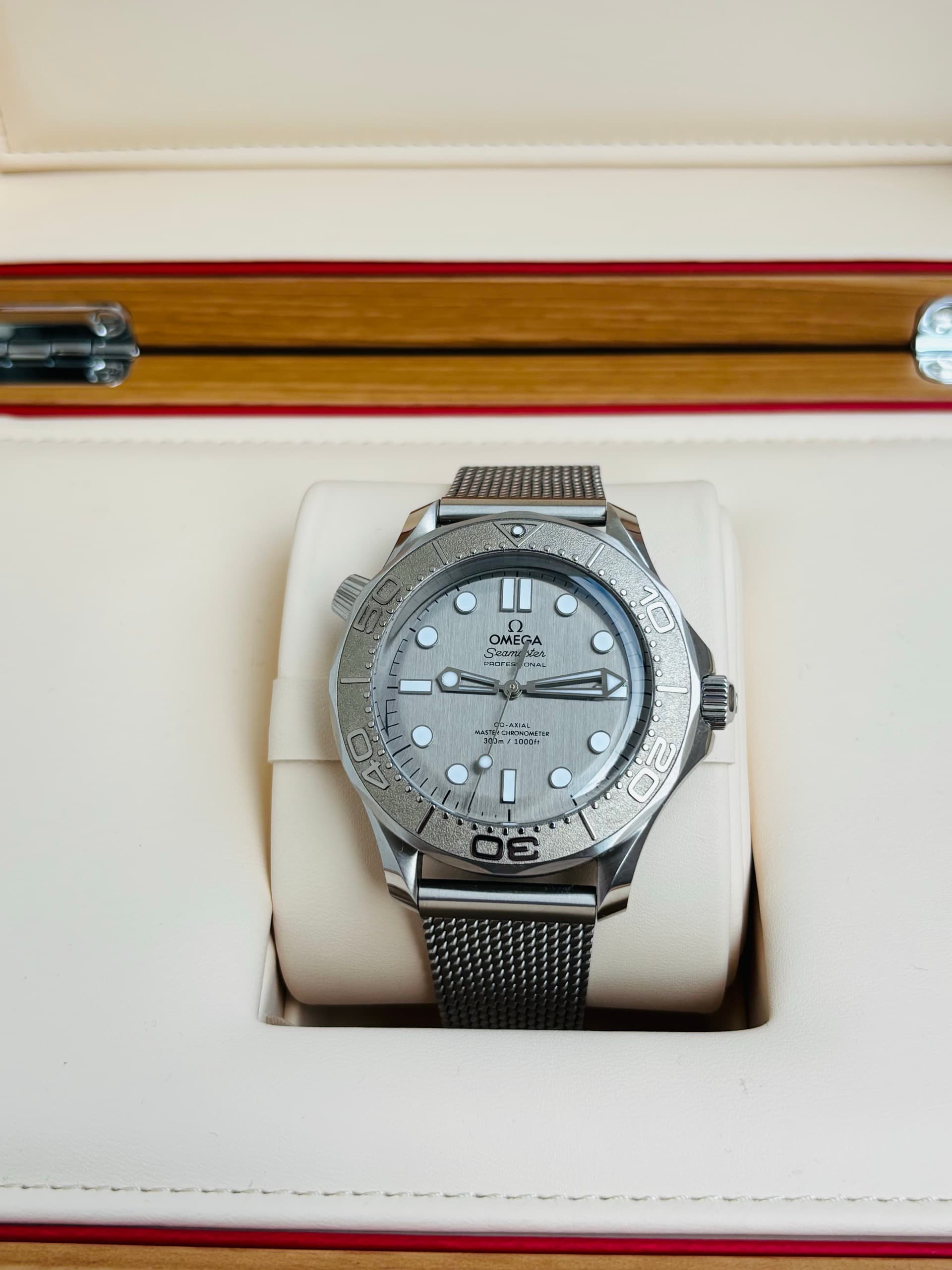Seamaster 300 Silver Surfer